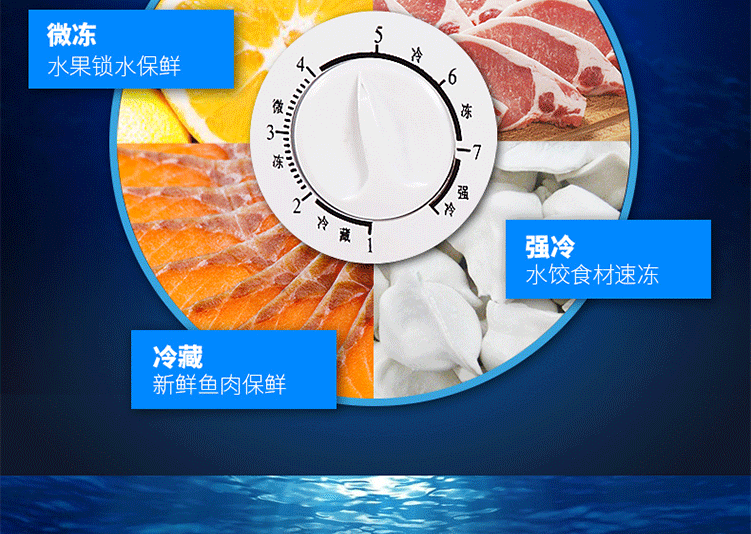 Tủ đông Aucma / Aucma BC / BD-228NE Tủ đông thương mại hộ gia đình tủ lạnh một nhiệt độ tủ đông sanaky 3699w1