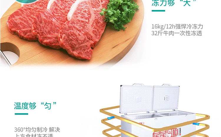tủ đông alaska 100l Tủ đông lớn XINGX / Star BD / BC-519E Tủ đông thương mại Tủ đông lớn Tủ lạnh lớn Tủ lạnh đơn nhiệt độ ngang - Tủ đông tủ đông sanaky 400 lít