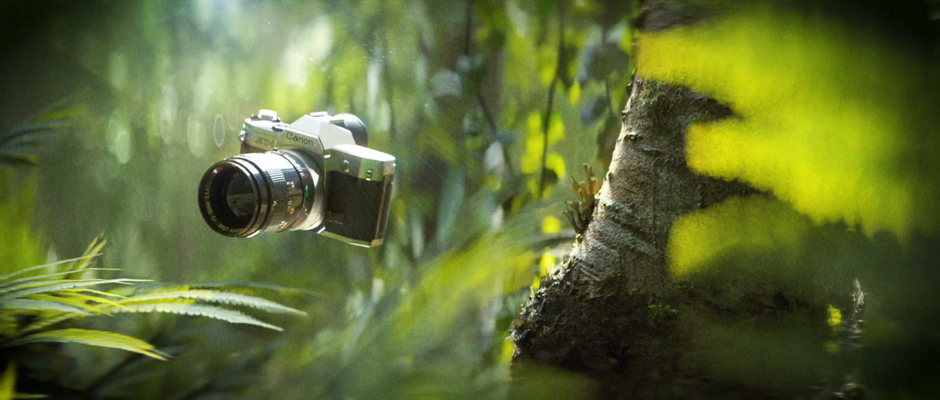 pro lens example.png