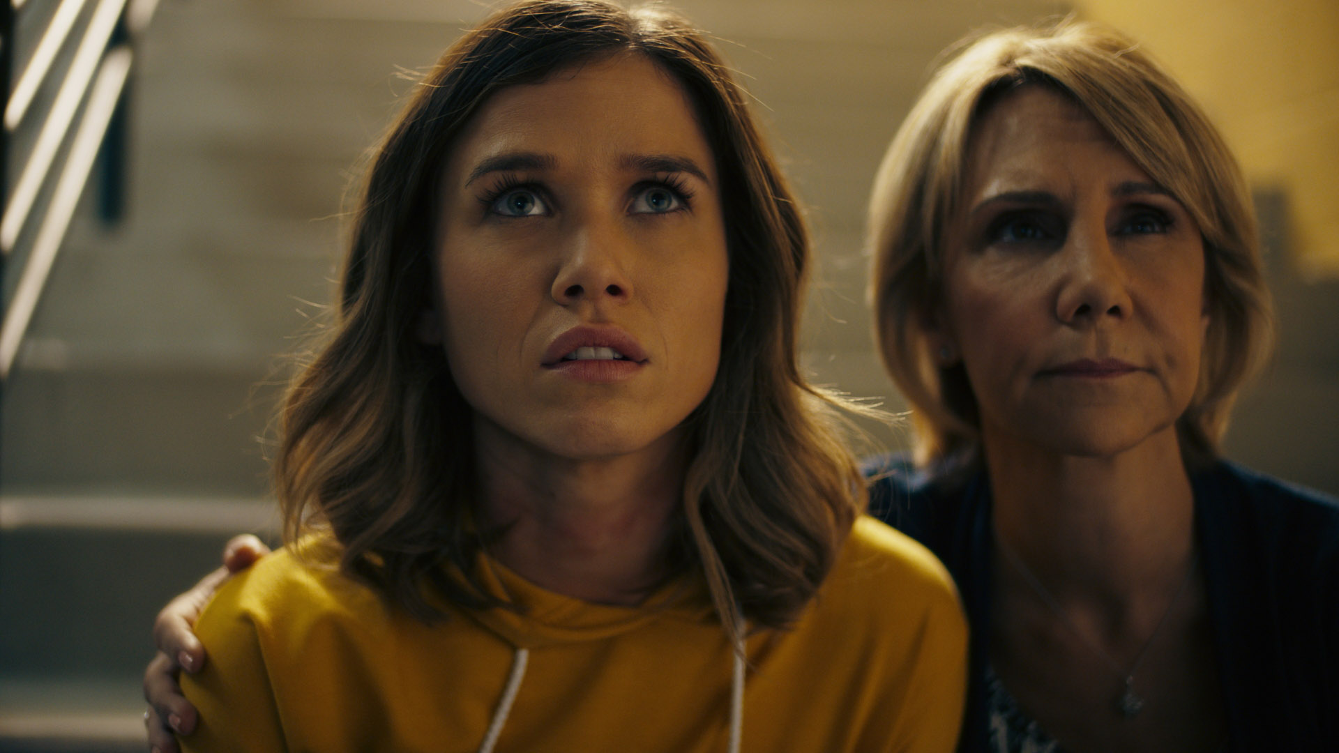 中文汉化-Procolorist Contour v2.1.6 Win 达芬奇专业影视级图像轮廓画面层次增强插件 + 中英文字幕教程 23063526978.jpg