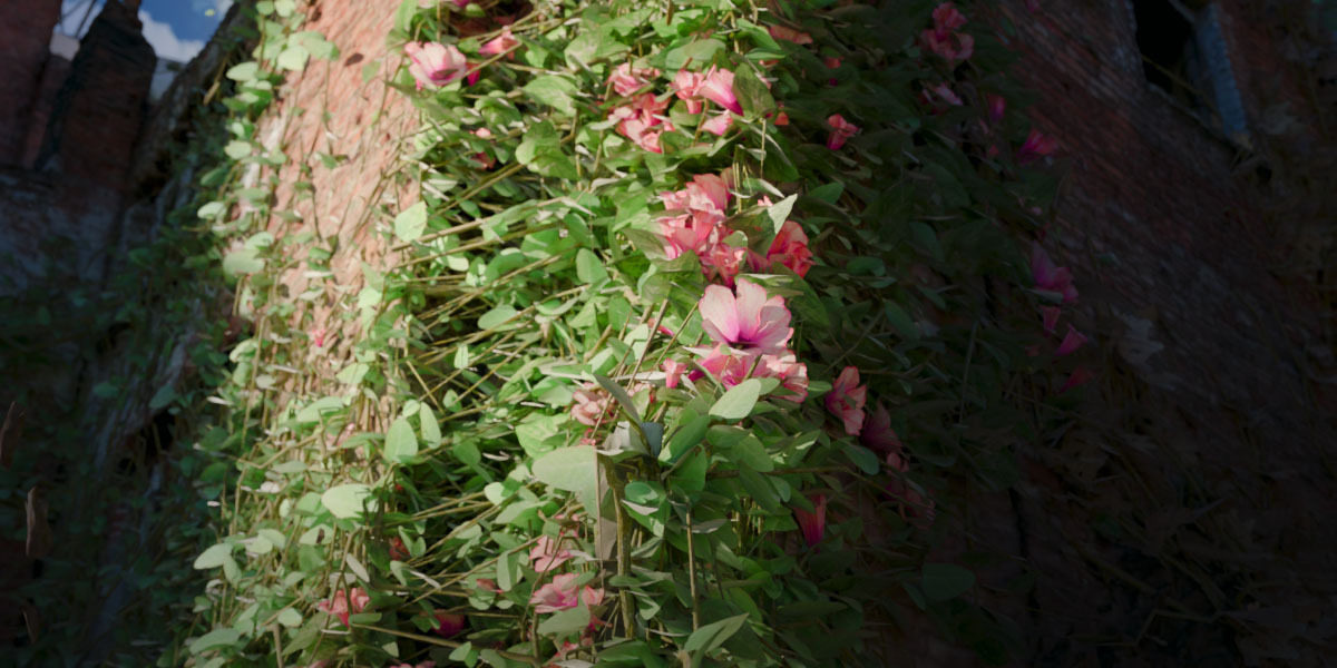 Blender快速生成逼真藤蔓插件 Ivy Generator V1.0.0 image_processing20251016-2-1eke8m.jpg