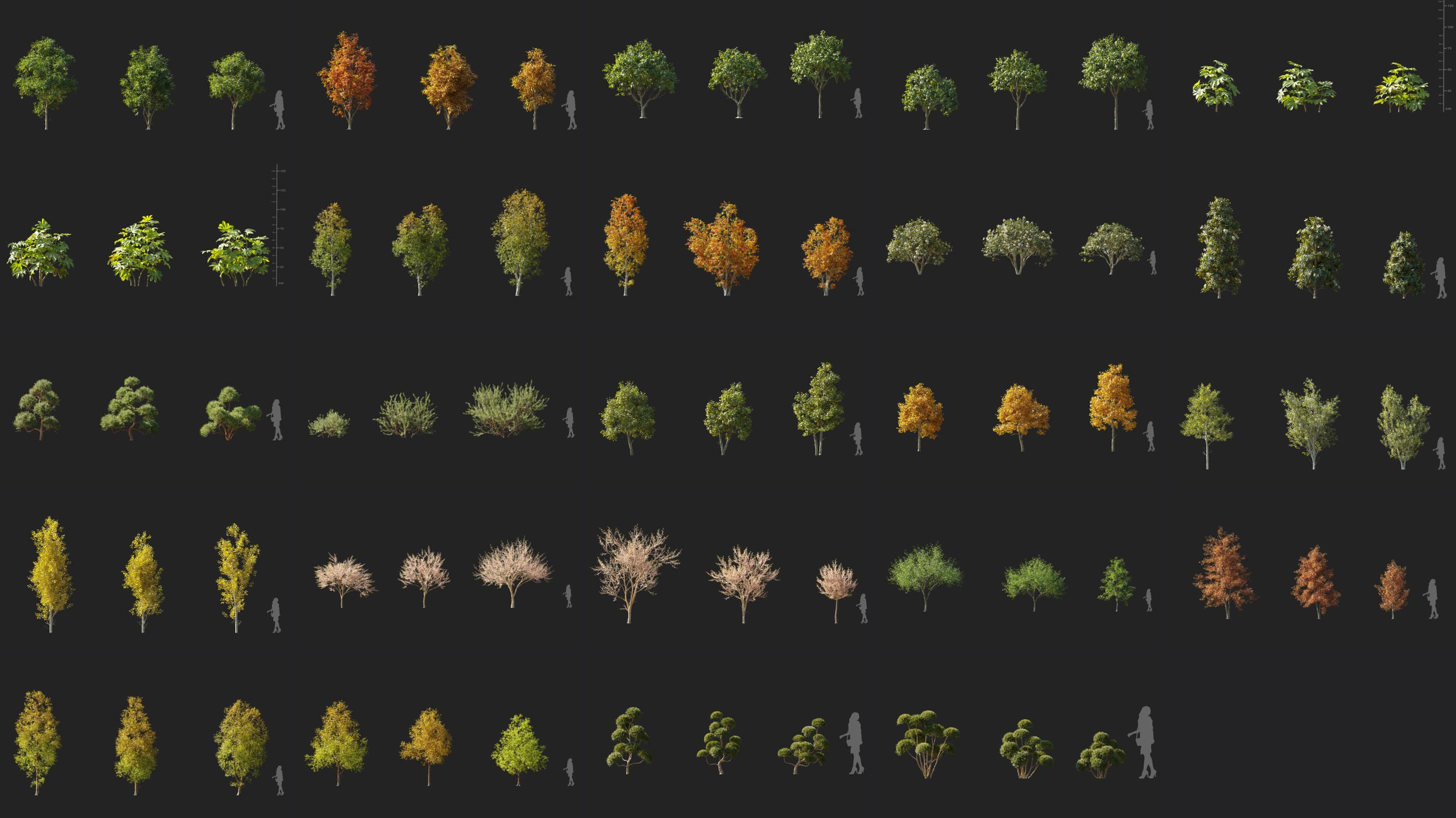 高质量景观树植物3D模型 Maxtree Plant Models Vol 110 （MAX/FBX/C4D/TEX格式）