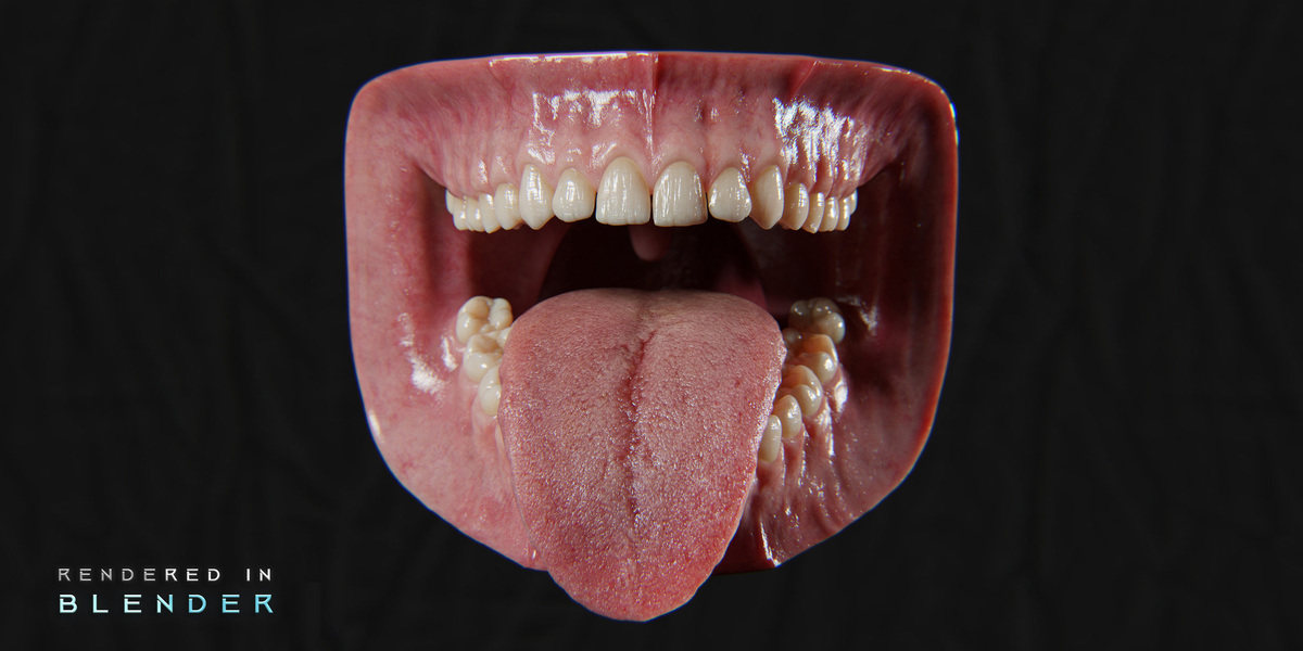 Blender/八猴超写实人类牙龈口腔绑定游戏3D模型 Ultra-Realistic Gum – 8K Pbr image_processing20260218-2-hox5ks.jpg