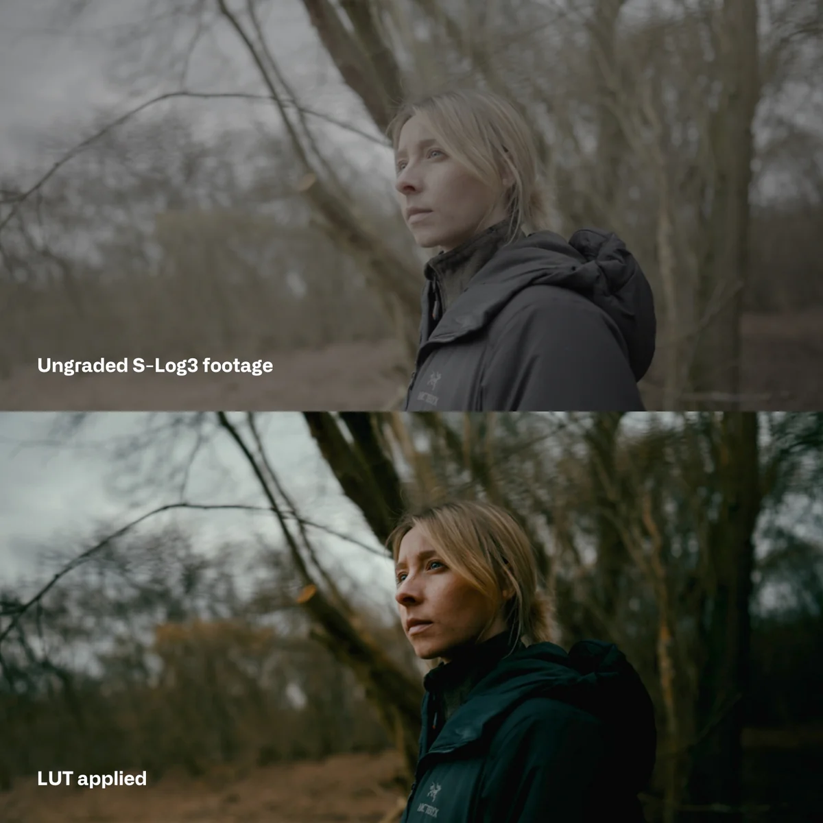 LUTS预设|索尼电影感户外调色预设 Cinem8 – Sony S-Log3 Cinematic LUTs 1_3700fb54-a5a3-4e2d-9a8a-223d13c3b138.webp