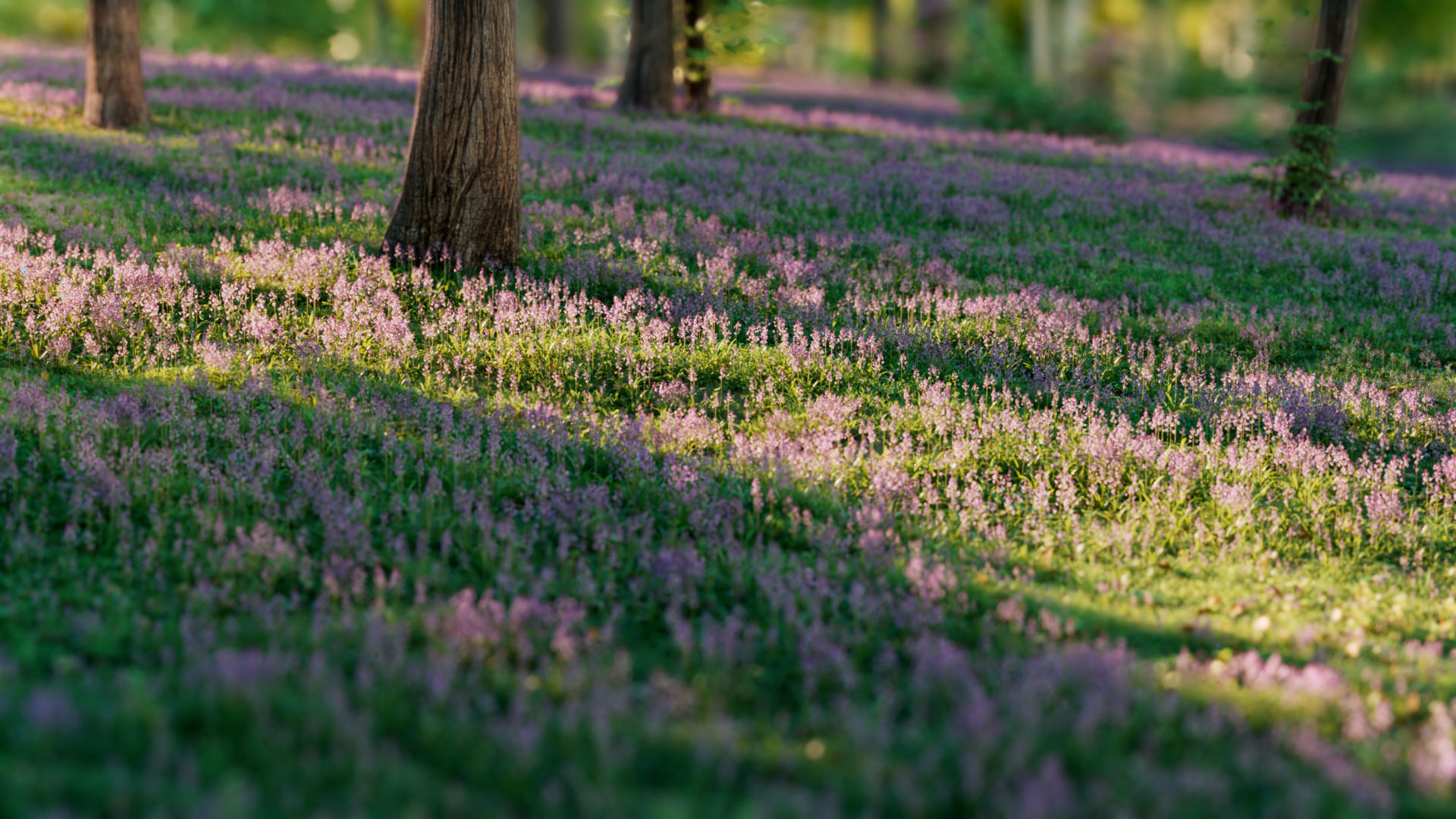 35种低多边形蓝铃花植物3D模型(Blend/FBX/OBJ格式) Bluebell Pack vol05 Low-poly 3D model bluebell-pack-vol05-3d-model-low-poly-obj-blend (2.jpg