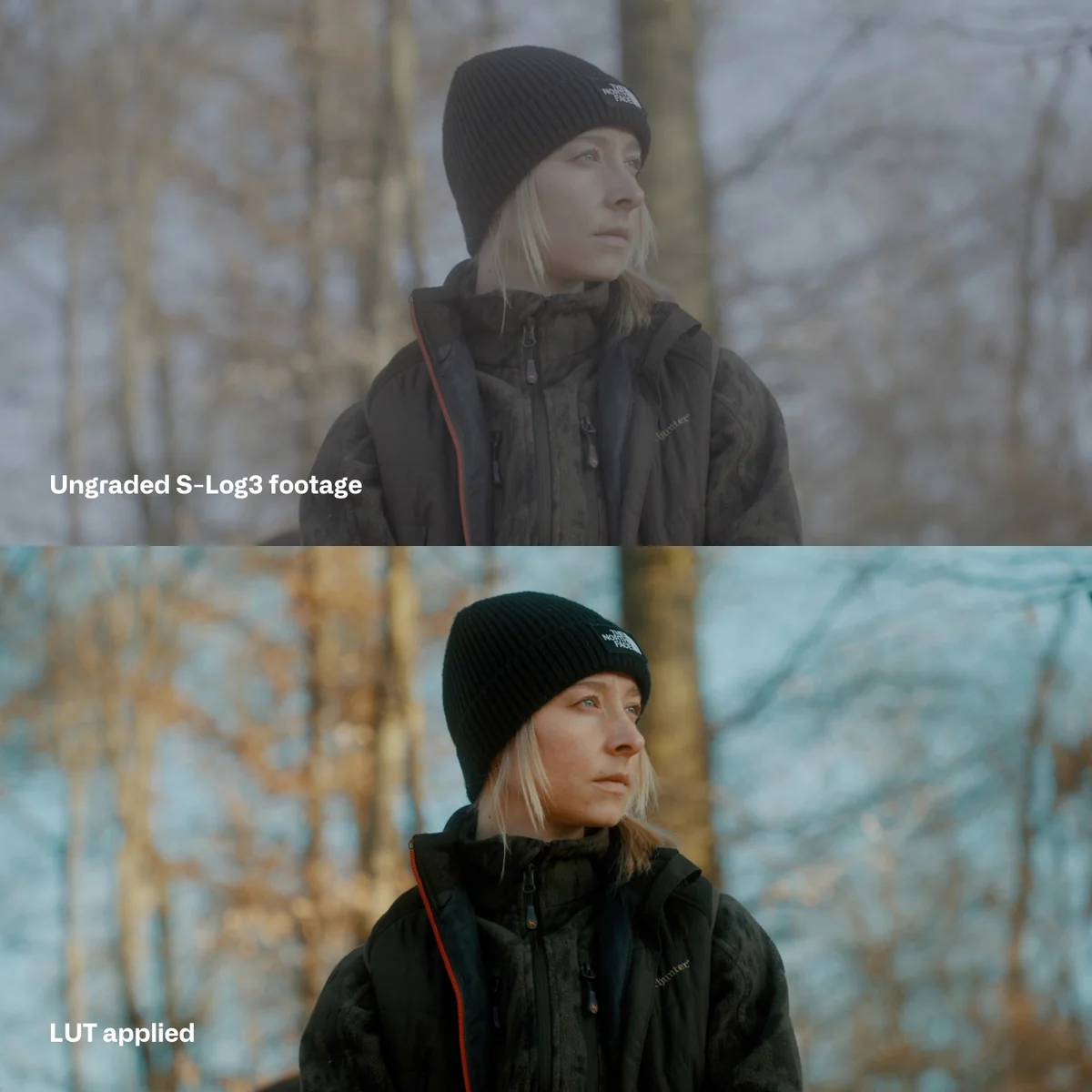 LUTS预设|索尼电影感户外调色预设 Cinem8 – Sony S-Log3 Cinematic LUTs 7_af6edf7a-baaa-4e9a-b02a-f6506432511e.webp