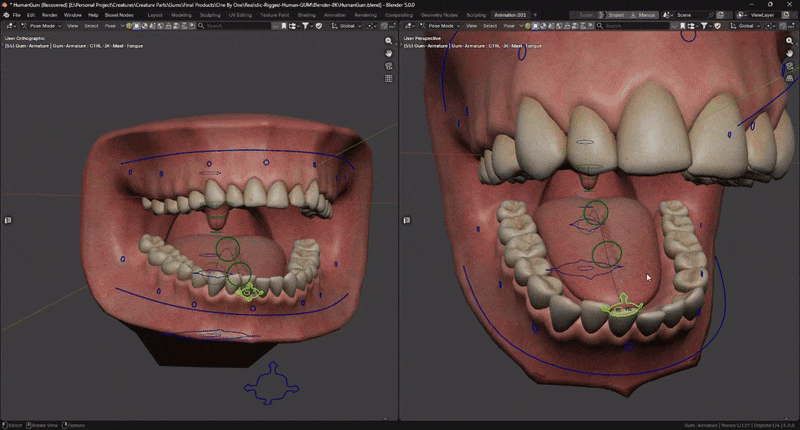 Blender/八猴超写实人类牙龈口腔绑定游戏3D模型 Ultra-Realistic Gum – 8K Pbr 5.gif