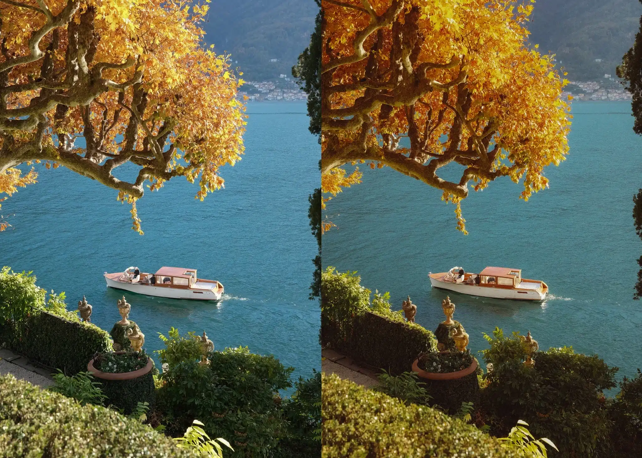 真实电影胶片质感LUTs调色预设包 Preset Curator – Film Emulation LUTs and Power Grades Pack bca14ea6-cc8a-48c3-8754-d2d9312642f3.webp