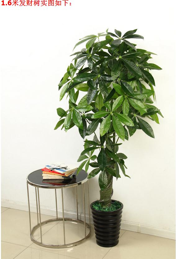 Đặc biệt cung cấp mô phỏng cây may mắn mô phỏng cây giả cây xanh cây sàn phòng khách lớn tài sản cây trang trí hoa lụa - Hoa nhân tạo / Cây / Trái cây cây giả đẹp