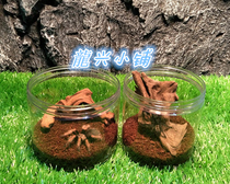 Fully transparent pet spider feeding box is suitable for feet under 8 cm without perforation