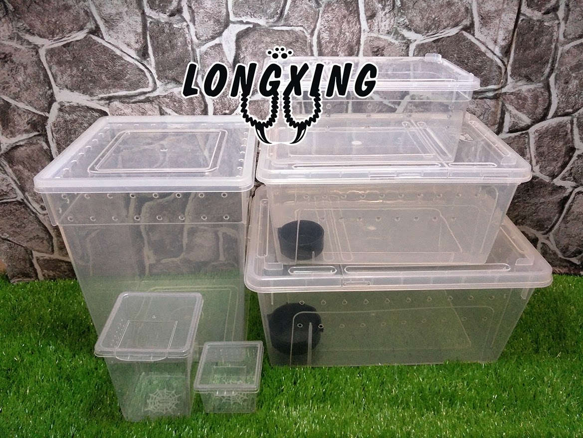 Pet Spider-Raising Box Crew Box Pet Case Suitable for Spider Scorpion Centipede Corner Frog and Other Creeps