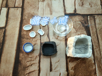 Longxing Xiaopu reptiles spiders palace guards scorpions water basins food basins