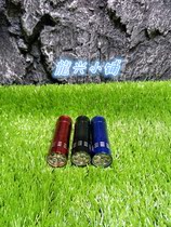 Pet Spider observation with LED flashlight convenient for careful observation of pets at night