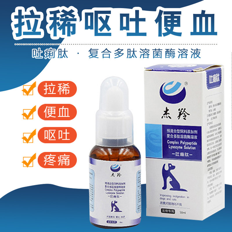 Diarrhea peptide cat and dog puppy cat diarrhea enteritis gastrointestinal diarrhea diarrhea vomiting yellow water antiemetic medicine