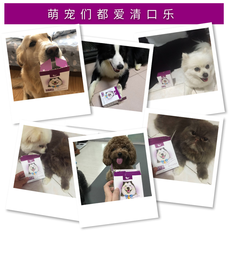 Pet chó mèo súng hôi miệng probiotic tiêu chảy khó tiêu hóa và nôn tartar - Cat / Dog Medical Supplies Dụng cụ thú y giá sỉ