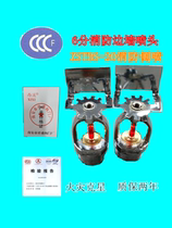 ZSTBS-20 fire side spray DN20 side spray angle spray 6 points fire sprinkler spray head 68 degrees fire side spray