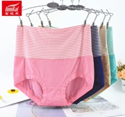 Đầm xòe cạp cao của phụ nữ đích thực Fu Nilai hông Modal cotton mềm mại quần lót boxer 2553