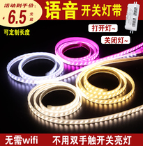 Super bright LED flexible voice control light with line light advertising sign neon flexible light tube decoration outdoor waterproof
