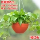 Кирпичный красный [Pot+Net+Plugs+Chain]