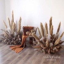 Natural Dry Flower Reed Landing Decoration Flower Photography Shooting Props Wedding Celebration Putting Floral Shop Shop Window Design