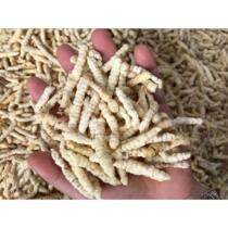  Chinese Herbal medicine Wild White Cordyceps 500g Silkworm Raw Zeeland Root Raw Zeeland Root White Cordyceps White Cordyceps