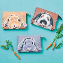 (Rabbit Lin) Finrich Dream You more Rabbit Multi-function storage bag wallet mobile phone Japanese gift