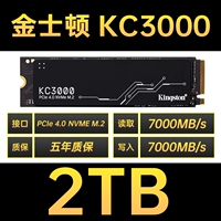 Kingston KC3000-2T