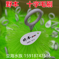 Nomoto green cross hair brush koi fish pond filter material aquarium fish pond biochemical purification cleaning brush 304 steel
