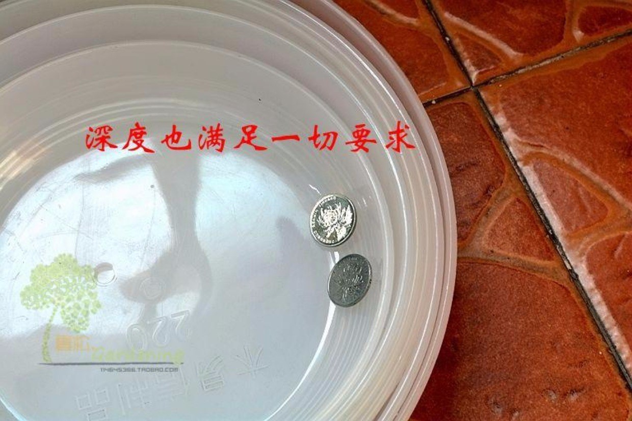 Chậu hoa di chuyển khay 25cm với bánh xe nhựa phổ dụng hộp hoa làm vườn hỗ trợ đáy 33cm khay hoa cá nhân 35cm dụng cụ làm cỏ