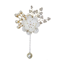 Ветви грудной клетки (нестационарная нота) небольшая прозрачная коробка