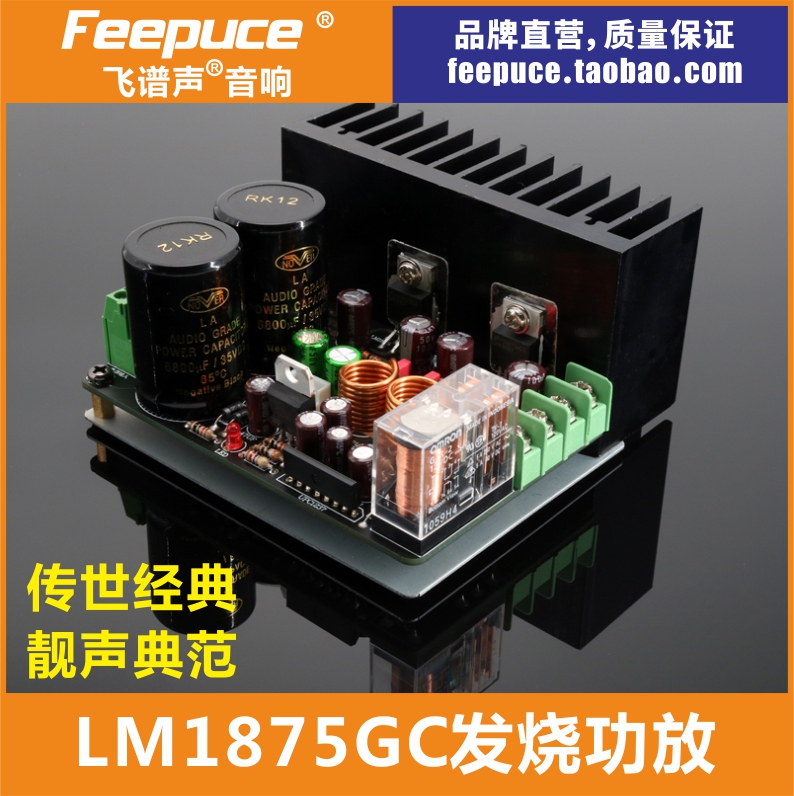 LM1875 power amplifier Board flying spectrum GC durable listening version hifi gall 1969 LM3886 voice King