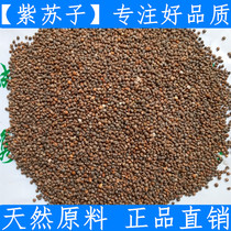 Raw materials Chinese medicinal materials Perilla seeds Perilla seeds 500g raw materials