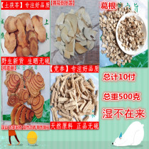 Plant wet tea Nourishing Earth root Sula Huang Flowers Pour Water Lotus Root root Caulis Spatiae wild Traditional Chinese herbal herbal tea soup