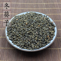 (100 gr) Winter sunflower Chinese herbal medicine supply winter purslane vegetable seeds winter sunflower seed winter sunflower seeds 2 pieces
