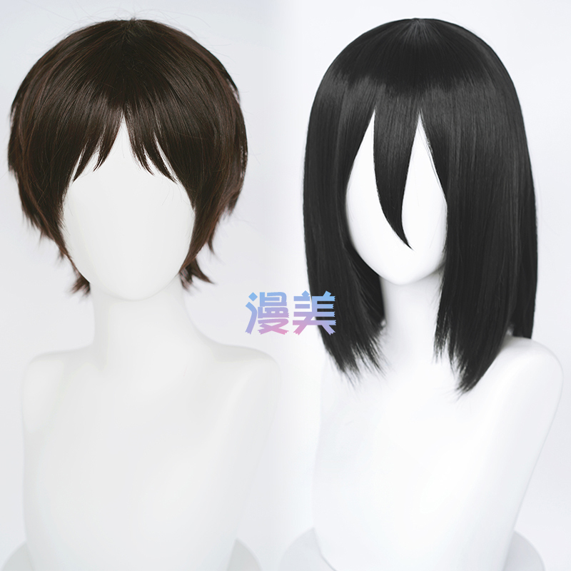 Anime Attack on Titan Eren Mikasa Cosplay Wig, Easy to Style, Smooth and Easy to Care for