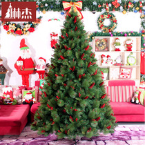 Linger Christmas tree 3 meters 300CM red fruit pine cone mixed pine needle Christmas tree Christmas decoration Christmas tree