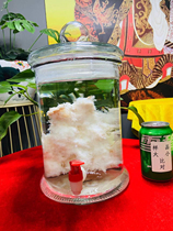 Natural wild growth white mountain stone is totally 500g one picture