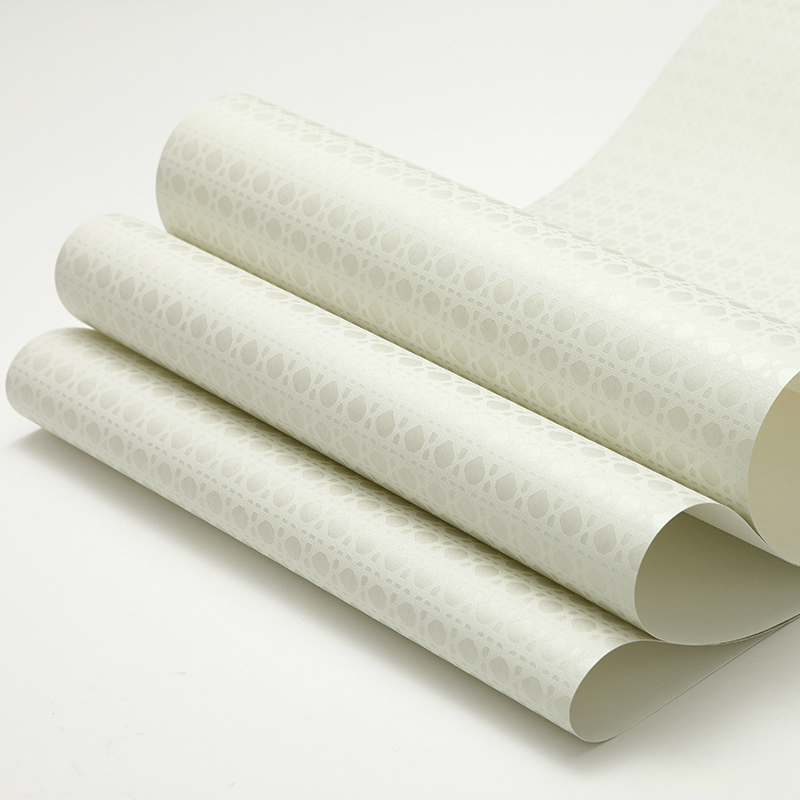 ��ֽ���ִ���Լ��ֽA401001