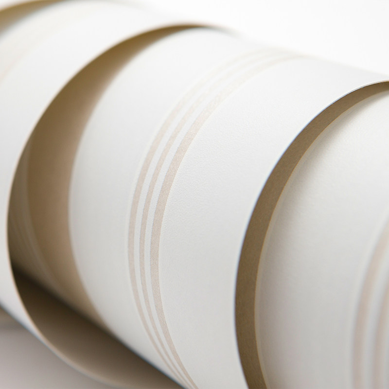 ��ֽ����Լ�ִ�3d��ֽA400301