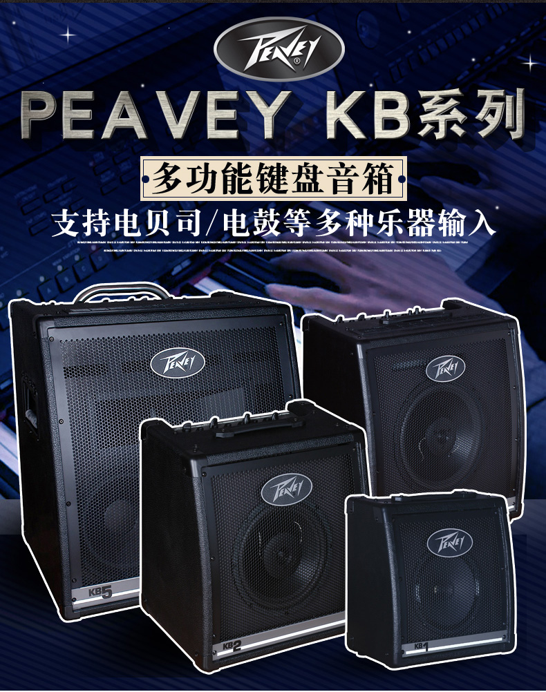 Peavey American Budweiser guitar điện loa dân ca bài hát thiết bị giám sát ống âm thanh đa chức năng - Loa loa loa sansui
