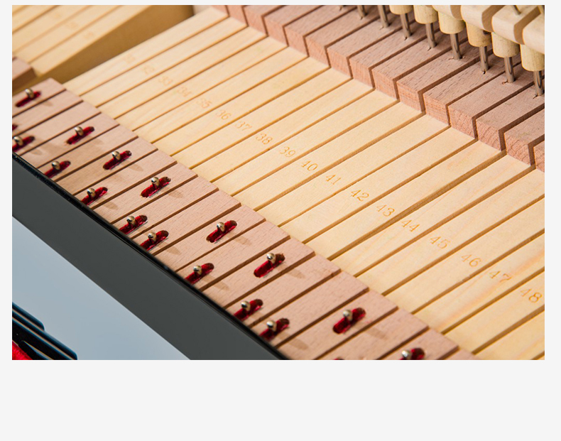 Tiếng Đức Liszt mới đàn piano thẳng đứng Trang chủ mới bắt đầu phân loại người lớn chuyên nghiệp chơi thép thật T121 - dương cầm 	đàn piano mới	