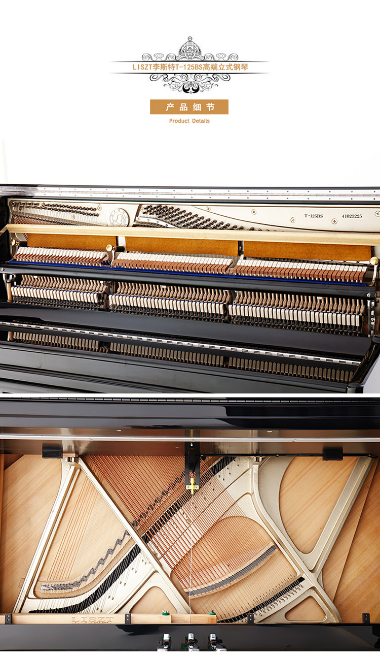 Đàn piano LISZT Liszt của Đức T-125B đàn piano dọc cao cấp nhập khẩu Thâm Quyến - dương cầm casio px 870