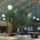 Имитация оливкового дерева большие бионические зеленые растения от пола до потолка для украшения внутреннего и наружного ландшафта ландшафтный дизайн окон искусственное дерево в скандинавском стиле mini 2