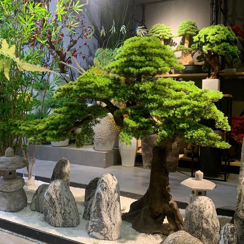 Высокое моделирование по индивидуальному моделированию Добро пожаловать в кедр