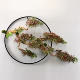 Новая китайская стиль приветствующая сосна дзен украшение стены Железное искусство висеть украшение гостиной стена стена настенная настенный