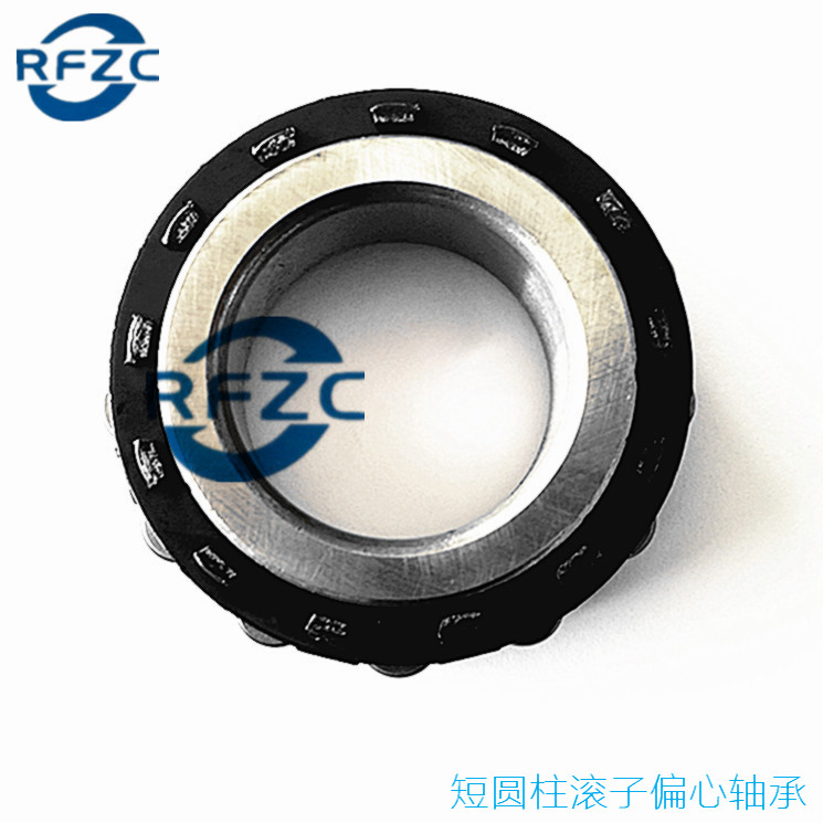 Reducer bearing eccentric bearing RN307 RN309 RN312 RN312 short ...