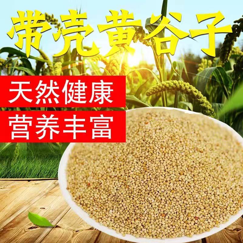 2021 fresh selection of yellow millet with Shell millet tiger skin peony small and medium-sized parrot bird grain 10kg