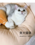 Кошка поднимает стойку с твердым деревянным кошачьим кошачьим деревом интегрированной маленькие кошки -полки меч меч -схватить на столп