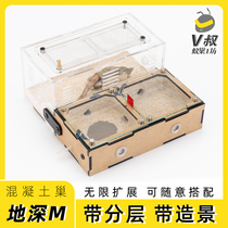  Direct sales of concrete ant nests M flat nests with layered infinite expansion Ant Castle workshop V Uncle ant nests workshop