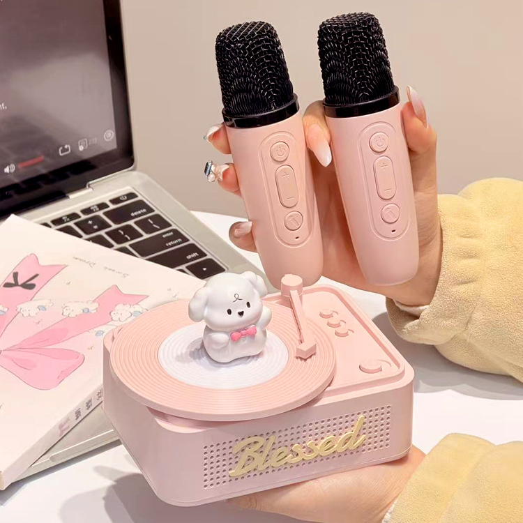 Karaoke Bluetooth Speaker Wireless with Microphone Small Speaker Integrated Microphone Home Birthday Gift for Girls Christmas